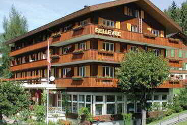 Otel Bellevue   Traditional Swiss Hideaway