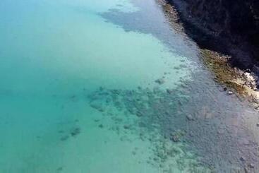 簡易ホテル Saraceno