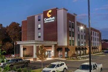 Отель Comfort Inn & Suites Downtown Near University