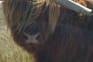 Pleasant Point Holiday Cottages