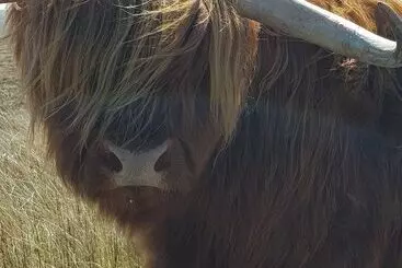 Pleasant Point Holiday Cottages