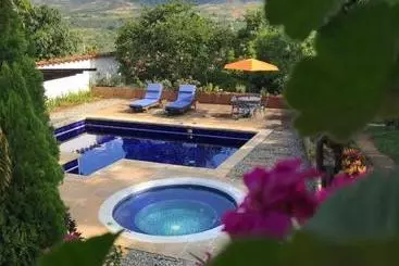 Arapaima B&b