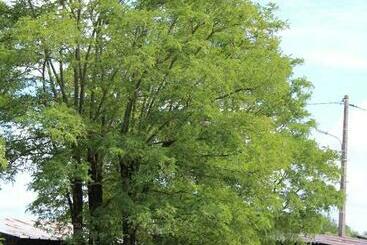 Contact Hotel Les Terrasses