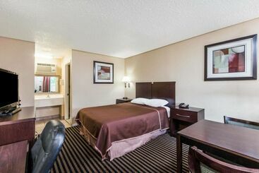 فندق Mccoy   Art, Libations, Pool Society