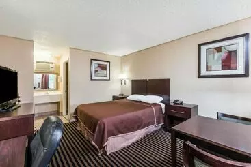 호텔 Mccoy   Art, Libations, Pool Society