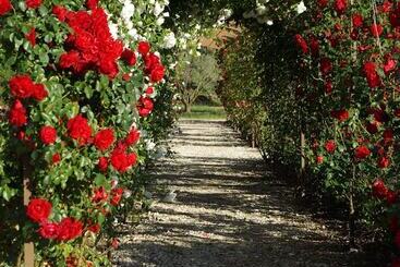 בית מלון כפרי Mas Des Figues   Mas Xviiie   Ouvert 01 Mai Au 30 Septembre 2025   Piscine Très Calme   Alpilles Sai