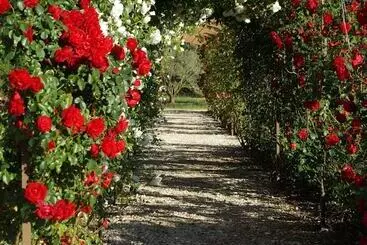 Hotel Mas Des Figues   Mas Xviiie   Ouvert 01 Mai Au 30 Septembre 2025   Piscine Très Calme   Alpilles Sai
