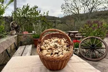 ユースホステル La Posada Del Santuario