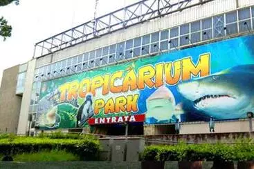 בית מלון כפרי Panorama