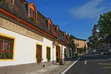 پانسیون Penzión Pod Bránou