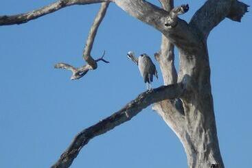 پانسیون Splendid Lake View Safari Lodge
