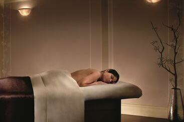 هتل The Ritzcarlton Coconut Grove, Miami