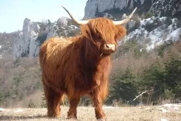 Majatalo Réserve Naturelle De Boussière