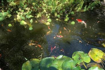 קוטג'' Domaine Des Monges