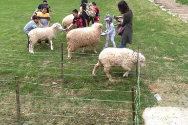 Kea Valley Hotel Apartment