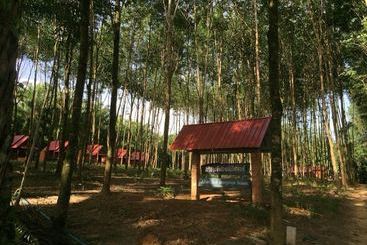 Отель Khao Sok Evergreen House