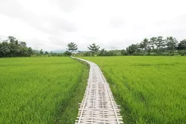 ホテル Ton Lang Homestay