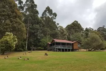 コテージ Walpole Wilderness Resort