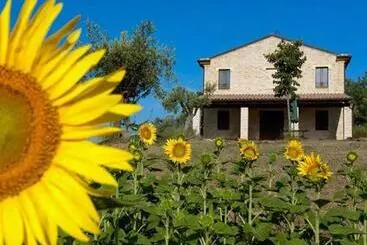 コテージ Agriturismo La Cicala