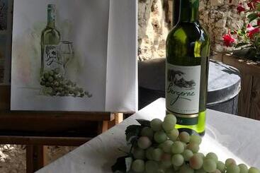 بنسيون Le Peyrail