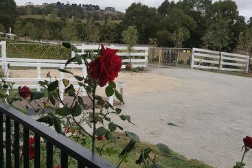 Silverbirch Cottage Loch