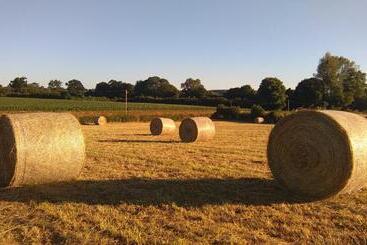 ベッドアンドブレックファースト Le Douitel