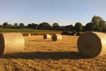 Bed and Breakfast Le Douitel