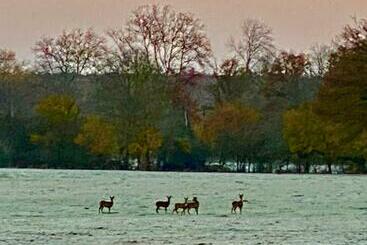 بنسيون B&b Château De Preuil