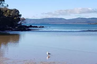 ペンション Hawley Beachside Accommodation