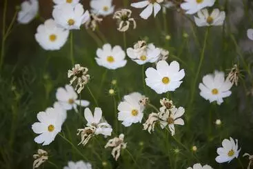 ペンション The Nest At Gundaroo