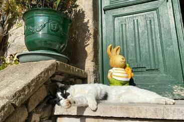 ペンション Le Clos St Georges