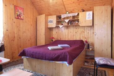 Bed and Breakfast Pensiunea Ando