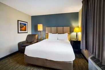 هتل Sonesta Simply Suites St Louis Earth City