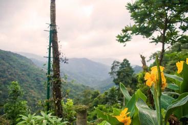 Hotell Serenity Panchalimedu