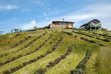 Aamiaismajoitus (B&B) Villa & Spasuitebo Roma