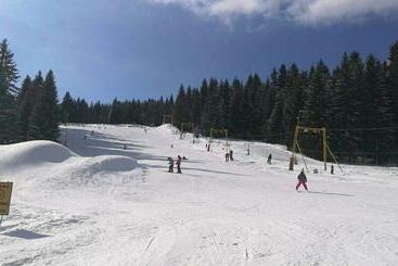 膳宿费 Penzion Tina