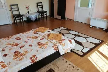 ペンション Vila La Izvorul Putinei