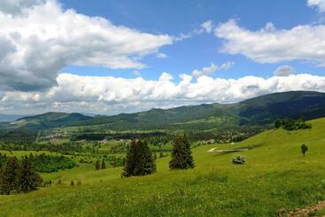 بنسيون Casa Maria Izvorul Muresului