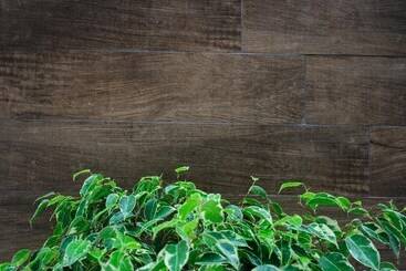 Appartement-hotel Flat Beira Rio