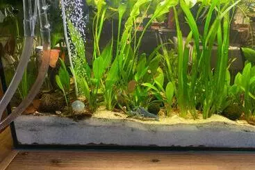 Waldhotel Zöbischhaus