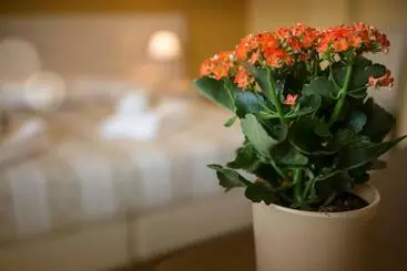 Hospedaria Trattoria Locanda San Rocco