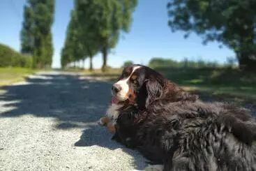 Aamiaismajoitus (B&B) Chambre D'hôte Manoir De La Baudonnière