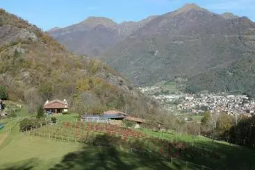 Hotel Agriturismo Il Mirtillo B,b