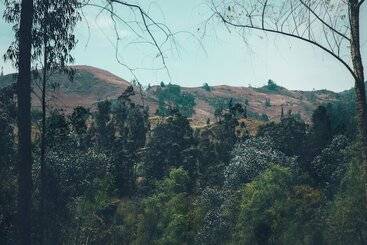 בית מלון כפרי Hacienda Baza