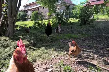 Bed and Breakfast Atelier Reinhart