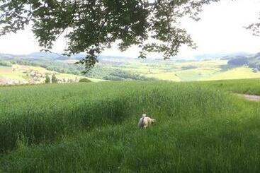 ベッドアンドブレックファースト Pension Chesselberg