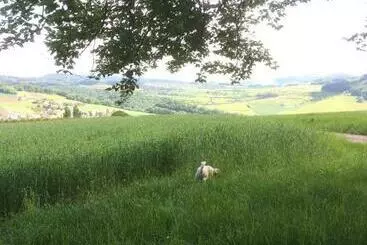 ベッドアンドブレックファースト Pension Chesselberg