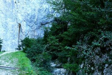 ホテル Palais Cathare