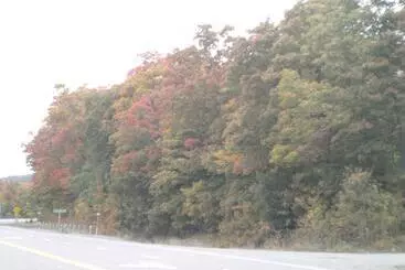 The Village Inn Motel