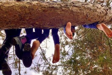 בית מלון כפרי Vanilla Hof